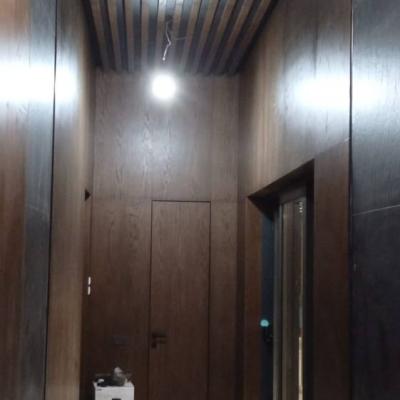 Работы Домини Дорс