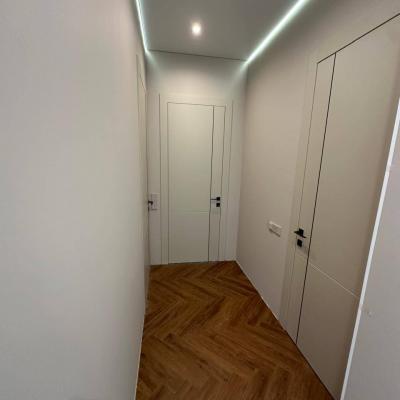 Работы Домини Дорс